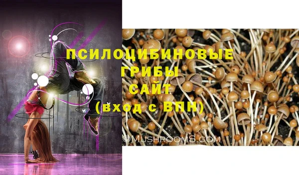 прущие крисы Алексин