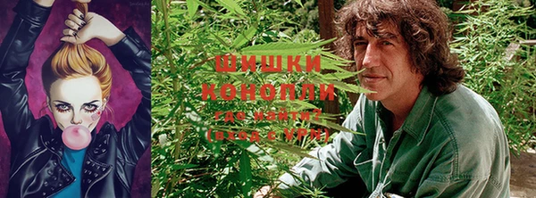 индика Сатка