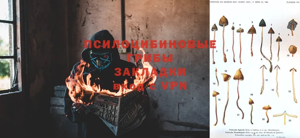 прущие крисы Алексин
