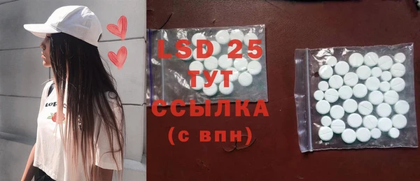PSILOCYBIN Алзамай