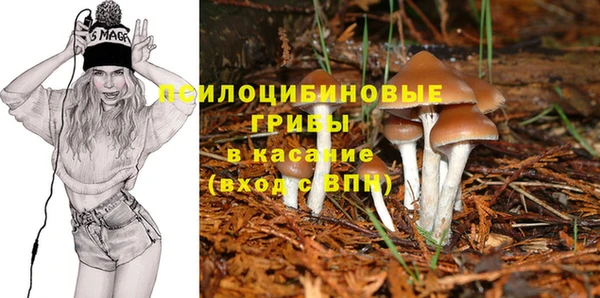 прущие крисы Алексин