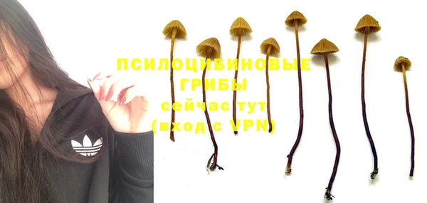 кристаллы Алексеевка