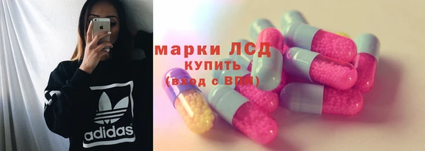 PSILOCYBIN Алзамай