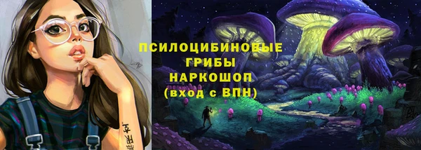 PSILOCYBIN Алзамай