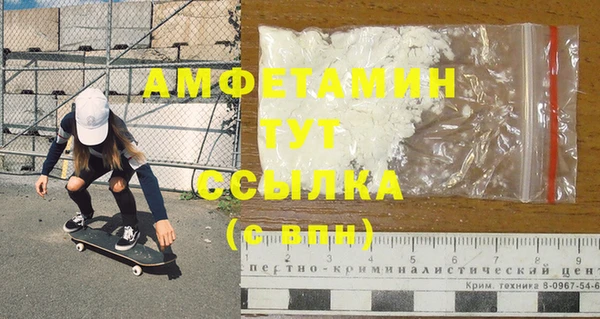индика Сатка