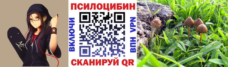 Галлюциногенные грибы GOLDEN TEACHER Берёзовский